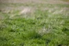 133 Bellbrook East Road, Armidale NSW 2350-Image