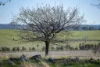 133 Bellbrook East Road, Armidale NSW 2350-Image