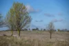 133 Bellbrook East Road, Armidale NSW 2350-Image