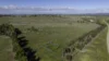 133 Bellbrook East Road, Dumaresq, NSW 2350-Image
