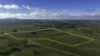 133 Bellbrook East Road, Dumaresq, NSW 2350-Image