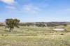 1335 Dairy Flat Road, Tooborac, Vic 3522-Image