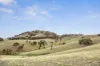 1335 Dairy Flat Road, Tooborac, Vic 3522-Image