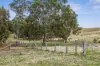 1335 Dairy Flat Road, Tooborac, Vic 3522-Image