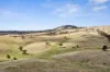 1335 Dairy Flat Road, Tooborac, Vic 3522-Image