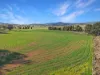 1335 Namoi River Road, Manilla, NSW 2346-Image