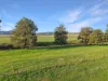 1335 Namoi River Road, Manilla, NSW 2346-Image