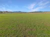 1335 Namoi River Road, Manilla, NSW 2346-Image