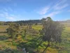 1335 Namoi River Road, Manilla, NSW 2346-Image