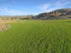 1335 Namoi River Road, Manilla, NSW 2346-Image