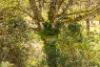 134 Landslip Creek Road, Wherrol Flat, NSW 2429-Image