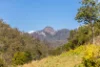 134 Landslip Creek Road, Wherrol Flat, NSW 2429-Image