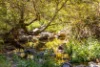 134 Landslip Creek Road, Wherrol Flat, NSW 2429-Image