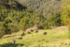 134 Landslip Creek Road, Wherrol Flat, NSW 2429-Image