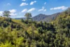 134 Landslip Creek Road, Wherrol Flat, NSW 2429-Image