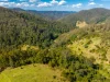 134 Landslip Creek Road, Wherrol Flat, NSW 2429-Image