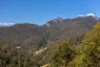 134 Landslip Creek Road, Wherrol Flat, NSW 2429-Image