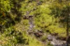 134 Landslip Creek Road, Wherrol Flat, NSW 2429-Image