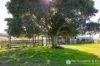 1340 Mount Walker West Road, Merryvale, Qld 4340-Image