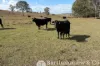 1340 Mount Walker West Road, Merryvale, Qld 4340-Image