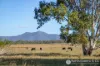 1340 Mount Walker West Road, Merryvale, Qld 4340-Image