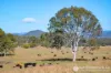 1340 Mount Walker West Road, Merryvale, Qld 4340-Image