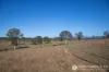 1340 Mount Walker West Road, Merryvale, Qld 4340-Image