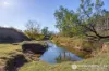 1340 Mount Walker West Road, Merryvale, Qld 4340-Image