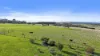 1341 Waitpinga Road, Waitpinga, SA 5211-Image