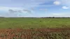 135 Brewer Road, Byrneside VIC 3617-Image