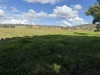 135 Killaloe Road, Kyogle, NSW 2474-Image