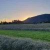 135 Killaloe Road, Kyogle, NSW 2474-Image