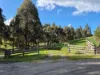 136 Otooles Road, Wild Dog Valley, Vic 3953