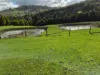 136 Otooles Road, Wild Dog Valley, Vic 3953-Image
