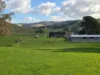 136 Otooles Road, Wild Dog Valley, Vic 3953-Image