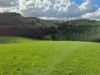 136 Otooles Road, Wild Dog Valley, Vic 3953-Image