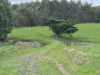 136 Otooles Road, Wild Dog Valley, Vic 3953-Image