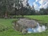 136 Otooles Road, Wild Dog Valley, Vic 3953-Image