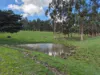 136 Otooles Road, Wild Dog Valley, Vic 3953-Image