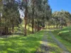 136 Otooles Road, Wild Dog Valley, Vic 3953-Image