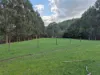 136 Otooles Road, Wild Dog Valley, Vic 3953-Image