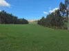 136 Otooles Road, Wild Dog Valley, Vic 3953-Image