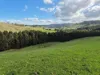 136 Otooles Road, Wild Dog Valley, Vic 3953-Image