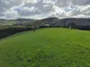 136 Otooles Road, Wild Dog Valley, Vic 3953-Image