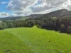 136 Otooles Road, Wild Dog Valley, Vic 3953-Image