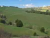 136 Otooles Road, Wild Dog Valley, Vic 3953-Image