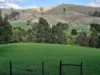 136 Otooles Road, Wild Dog Valley, Vic 3953-Image