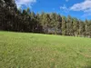 136 Otooles Road, Wild Dog Valley, Vic 3953-Image