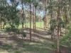 136 Otooles Road, Wild Dog Valley, Vic 3953-Image