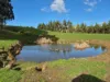 136 Otooles Road, Wild Dog Valley, Vic 3953-Image